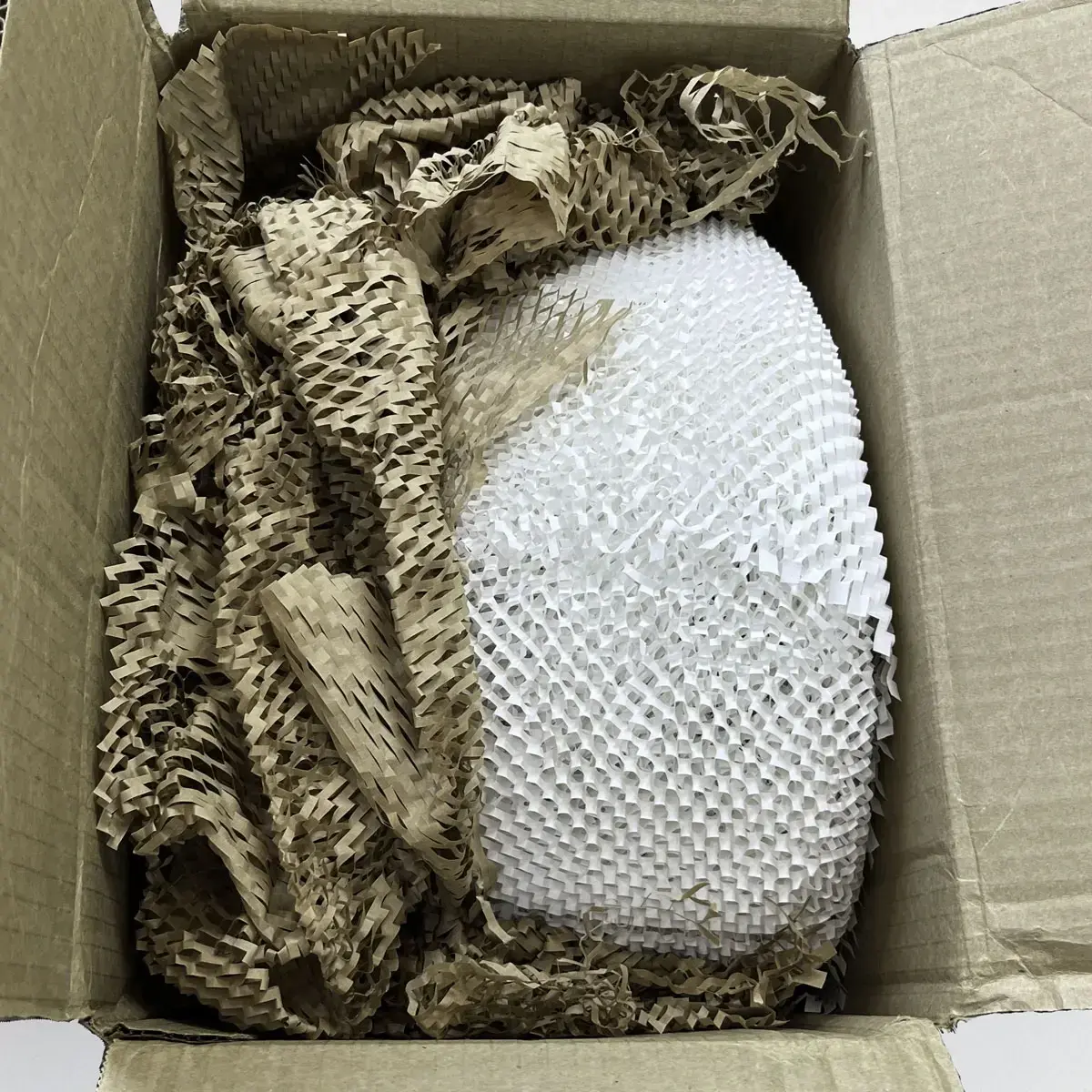 Mochila válvula Actuador